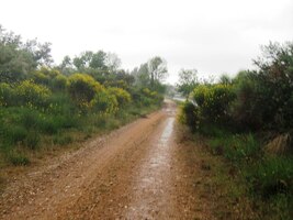 Ale ouha, začíná vydatně pršet!