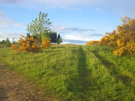 Jejich stíny už dávno zmizely