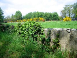 Ploty z lámaného kamene