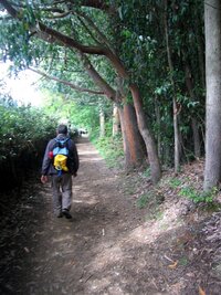 a jde se dál okrajem lesa