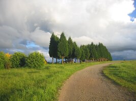 Jsme tu v tuto chvíli s nimi