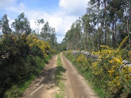 ... které tu voní pryskyřicí a jarními květy