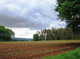 Pod výhružnou oblohou