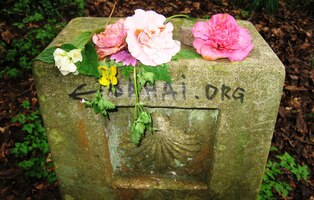 Kilometrů do cíle zjevně ubývá