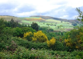 Krajina jako od Van Gogha