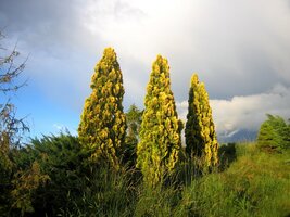 Teď už jsme také poutníci - tací, jakými se stali dávno před námi oni