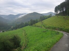 A zase do asturských hor