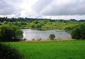 Cesta vede kolem jezírek a rybníčků