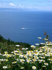 A moře je blankytné