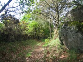 Lesy jsou tu hluboké