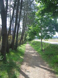 ... a pak zase docela obyčejnou pěšinou