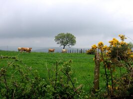 Ale i tady žijí lidé... a dobytek