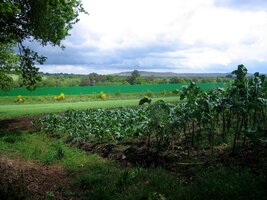 Zatím to ale na déšť moc nevypadá