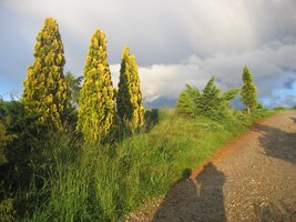 A teď s námi odcházejí i stíny naše