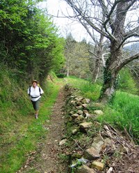 Do kopce to šlo ztuha