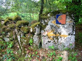 Ještě, že vás vedou značky