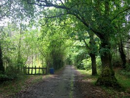 a stinnými zákoutími lesa