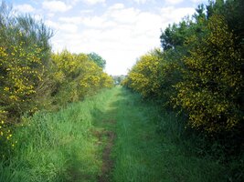 Ráno se šlape dobře - nevyrazíte s námi ?