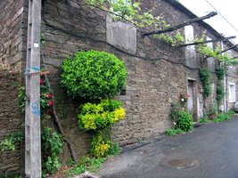 ... kolem domů s vinnou révou