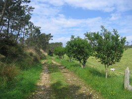 .. mění se cesta-osud v cestu-potěšení