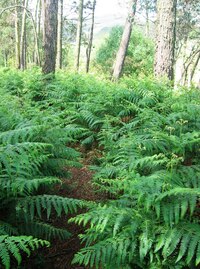 a jinde se sotva dalí najít