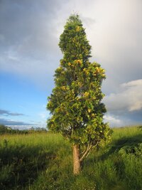 poutníci všech dob a národností