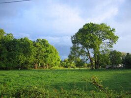 Ráno v Miraz nevěští nic dobrého