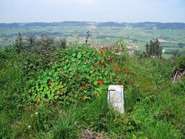 vstříc asturskému a galicijskému dobrodružství