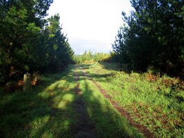 Tady to už dokonce trochu vysychá