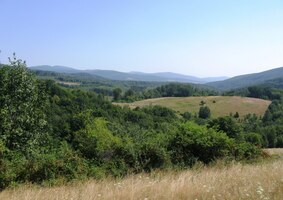 Za obcí začínají krasové planiny,