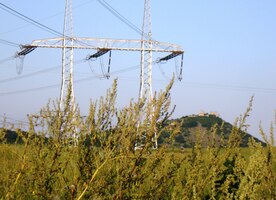 Za dráty jsme zaregistrovali hrad Krásná Horka