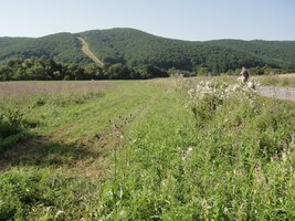 ale perspektiva nevalná