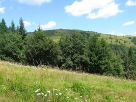 a je tu i čajovna s Tatranským čajem (52%)