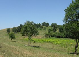 Spěcháme proto do stínu hospody,