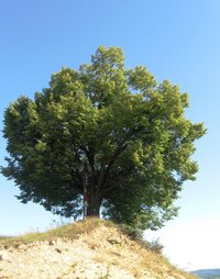 a procházíme Šarišskou vrchovinou,