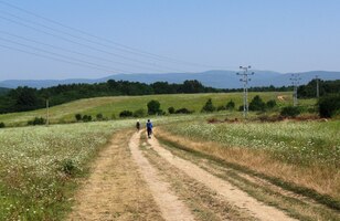 do rozlehlých prostor Jasovské plošiny