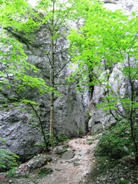 nad malebnou Zadielskou dolinou