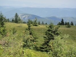a obdivovali blízké i vzdálené okolí