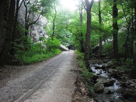 okolo zurčícího potlčku