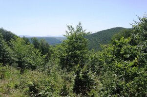 Krkolomným sestupem klesáme