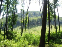 a dále až k úpatí vrchu Stráž,