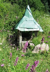 Studánka v zajetí horské květeny