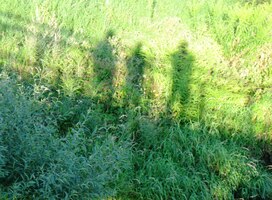 a hurá na vlak! I tři stateční se strašně těší domů!!!