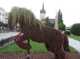 Střed města hlídá tento koník