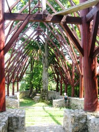 s památným stromem v jeho lodi