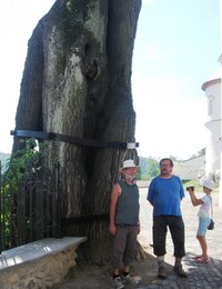 kterou ani urostlí mládenci neobejmou