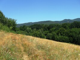 na které je ovšem třeba se vydrápat