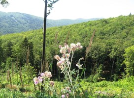 a dlouhým přejezdem se dostáváme