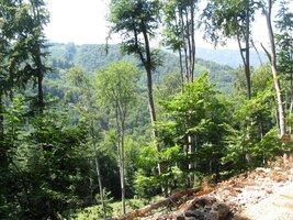 Shora se ovšem otvírají krásné výhledy