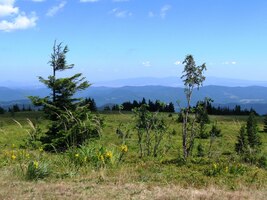 Shora je vidět skoro celé Východňársko